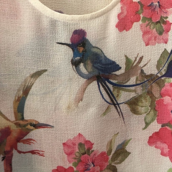 DNA Couture Sheer white blouse w/ Beautiful Bird S - Picture 5 of 10